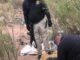 LOCALIZAN Y RESCATAN SANO Y A SALVO A JOSE MARTÍN, QUIEN FUERA PRIVADO DE LA LIBERTAD EN NOGALES