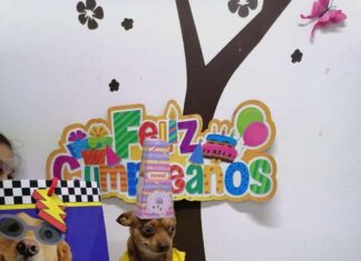 FAMILIA HACE FIESTA DE CUMPLEAÑOS A PERRITO; ASÍ REACCIONÓ