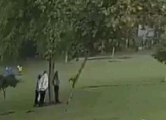 CAPTAN MOMENTO EN QUE UN RAYO CAE SOBRE CUATRO PERSONAS QUE SE REFUGIARON BAJO UN ÁRBOL