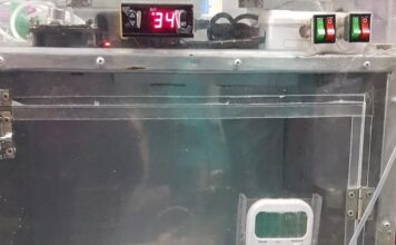 LLEVA A CUCARACHA AL VETERINARIO