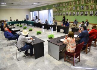 APRUEBA CABILDO DESINCORPORACIÓN DE BIENES MUEBLES PARA ADQUIRIR VEHÍCULOS DE USO PRIORITARIO