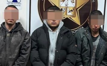 Desarticulada célula delictiva en Cajeme