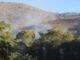 ATIENDE BRIGADA DE MANEJO DE FUEGO INCENDIOS A UN COSTADO DE LA CARRETERA ÍMURIS-CANANEA