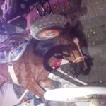 7ae32d7c-3826-4411-919b-0f955db3de3a