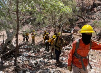 AVANZA GOBIERNO DE SONORA EN CONTROL DE INCENDIO FORESTAL EN LA SIERRA LOS AJOS