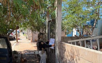 Rescatan a 11 caninos y aves durante cateo por maltrato animal en Guaymas