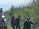 REGISTRA CIUDAD OBREGON LA MUERTE DE DOS PERSONAS EL FIN DE SEMANA